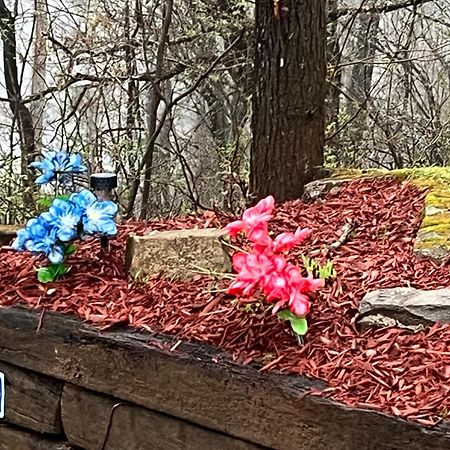 Twin Oaks Βίλα Bryson City Εξωτερικό φωτογραφία