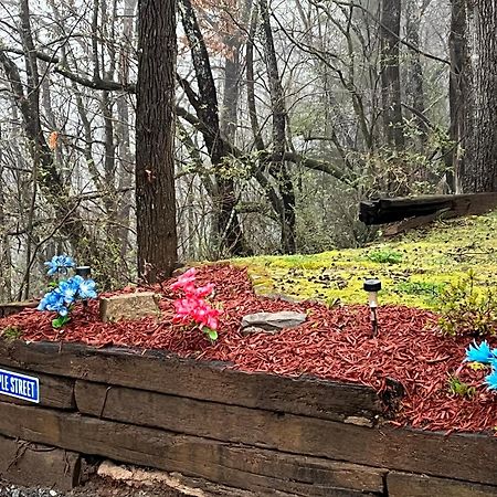 Twin Oaks Βίλα Bryson City Εξωτερικό φωτογραφία