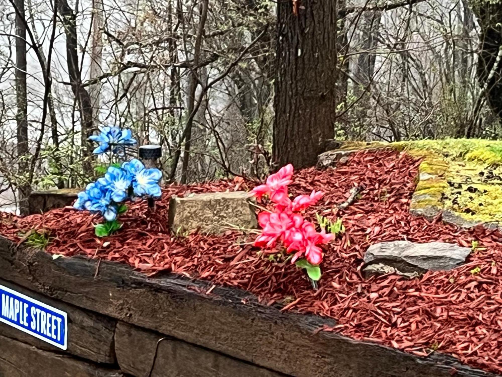 Twin Oaks Βίλα Bryson City Εξωτερικό φωτογραφία