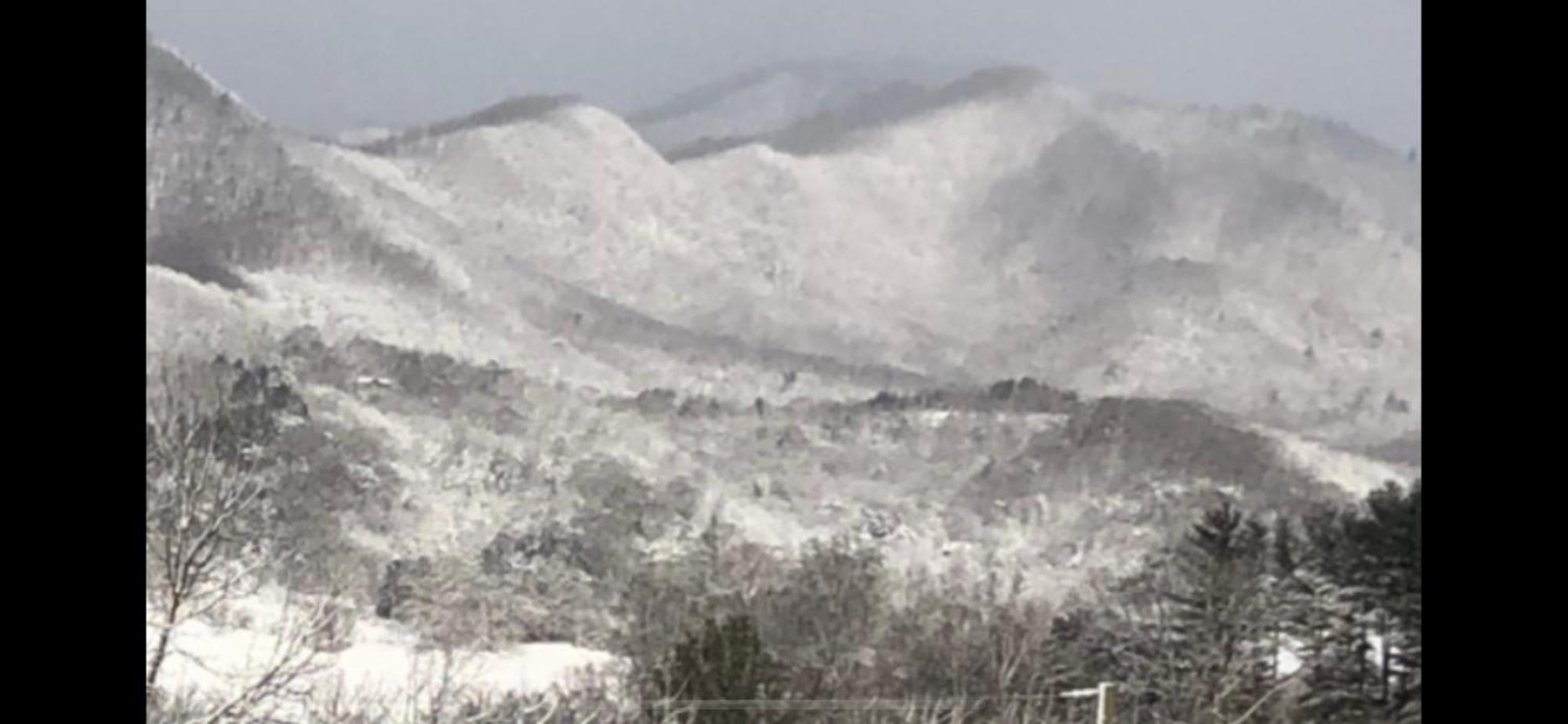 Twin Oaks Βίλα Bryson City Εξωτερικό φωτογραφία