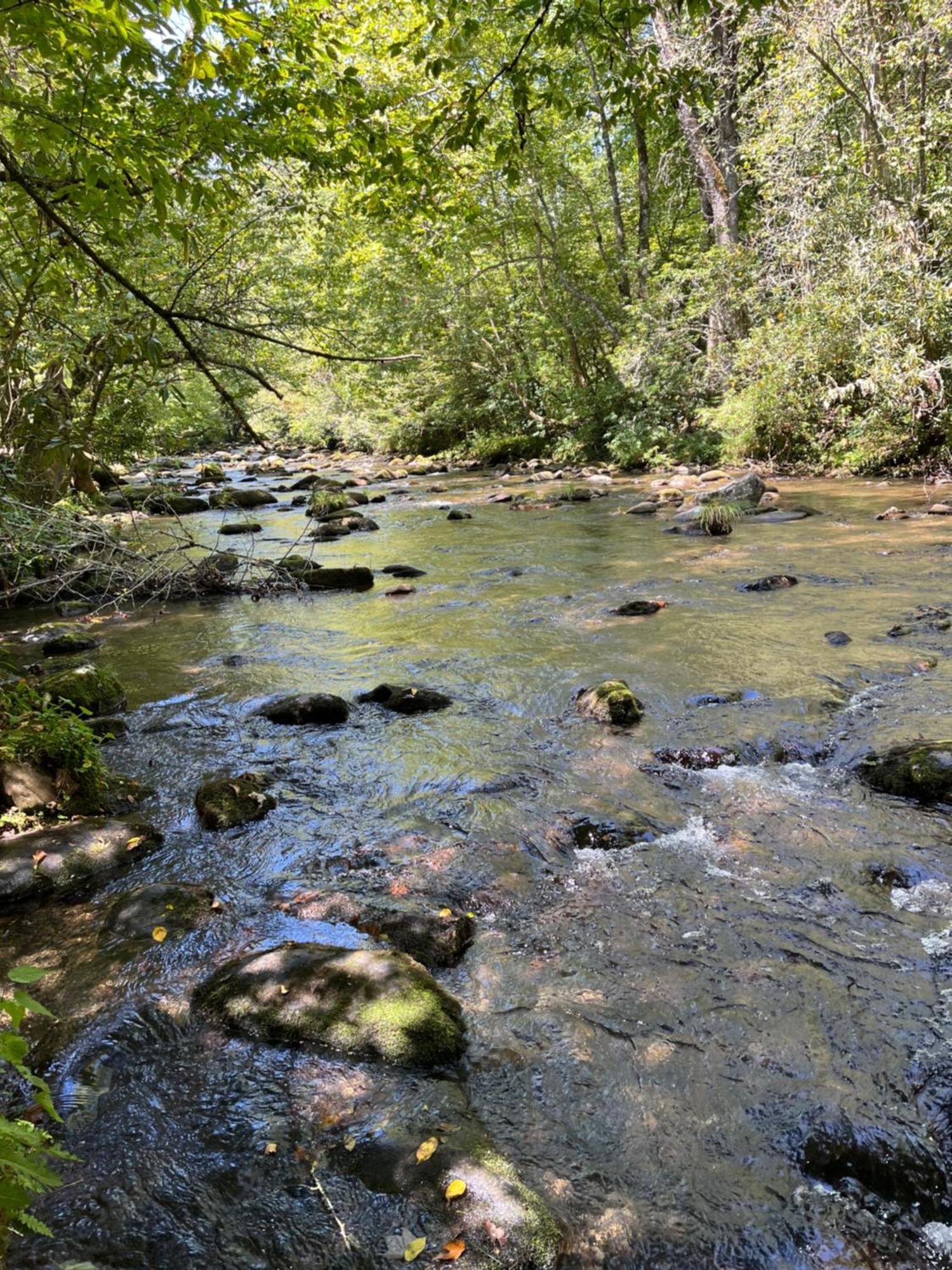 Twin Oaks Βίλα Bryson City Εξωτερικό φωτογραφία